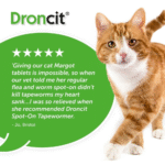 Droncit Spot on Wormer for Cats 4 Pipettes - 4 Month Tapeworm Worming Treatment - Image 6
