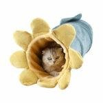 Creative Fruit Funny Pet Cat Tunnel Toys - Image 3