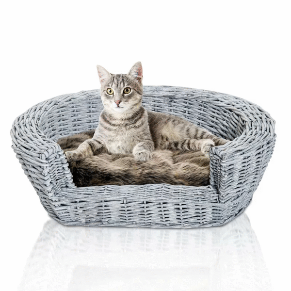 Cat Bed