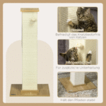 Scratching Post - Image 5