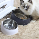 100ML Cat Dog Bowl 15 Degrees Raised Non Slip Puppy Base Cat Food - Image 2