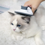 Pet Comb Automatic Hair Removal Comb Stainless Steel Needle Comb Cat - Image 3
