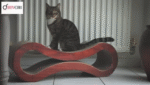 Cat Scratching Post Lounge Bed, Cat Scratcher Cardboard Board Pads - Image 2