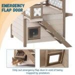 Feral Cat House Outdoor Indoor Kitty Houses - Image 4