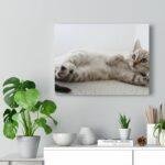 Adorable Cat Canvas Gallery Wall Art - Image 3