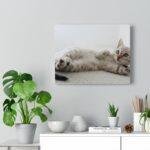 Adorable Cat Canvas Gallery Wall Art - Image 4