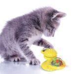 Cats Whirling LED Balls - Image 2