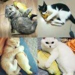 Electric Flipping Fish Toy for Cats - Image 3