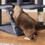 Cat Tree Cat Tower Cat Condo with Scratching Posts & Ladder for Cats Kittens - Image 14